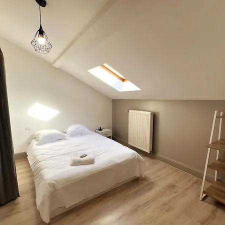 Le Scarpone Neuf 6 Ou 8p Parking Apartment Nancy
